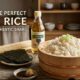 Sushi Rice